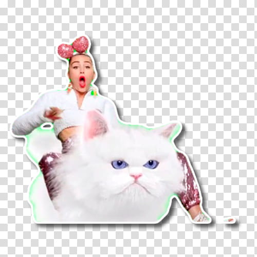 woman riding on cat transparent background PNG clipart