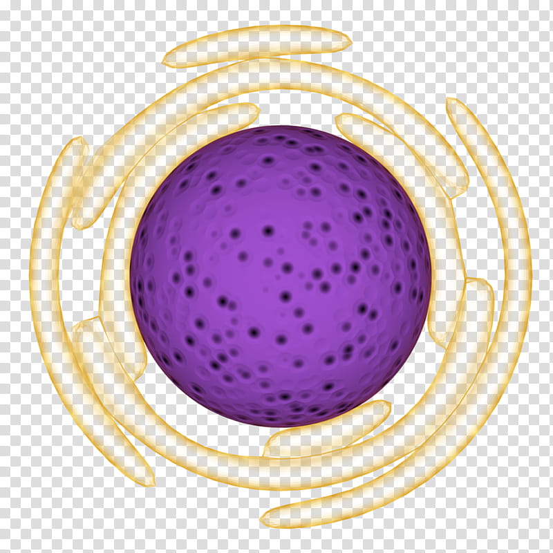 Circle, Cell Nucleus, Organelle, Endoplasmic Reticulum, Computer, Purple, Violet transparent background PNG clipart