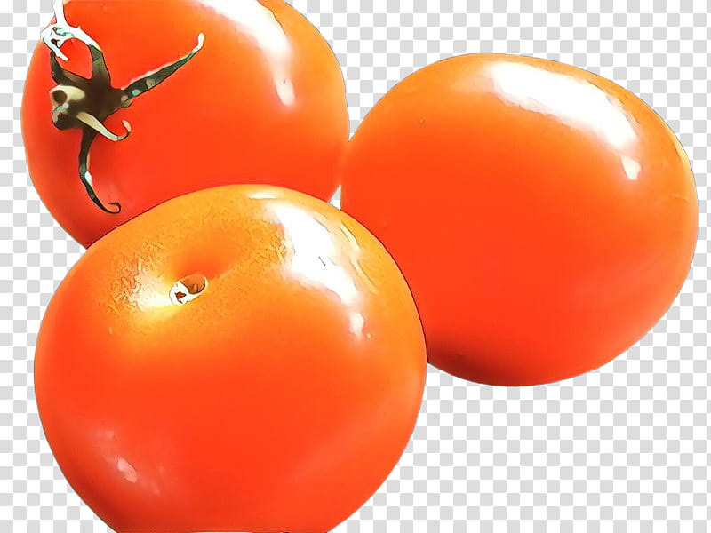 Orange, Cartoon, Plum Tomato, Ball, Solanum, Balloon, Fruit, Plant transparent background PNG clipart