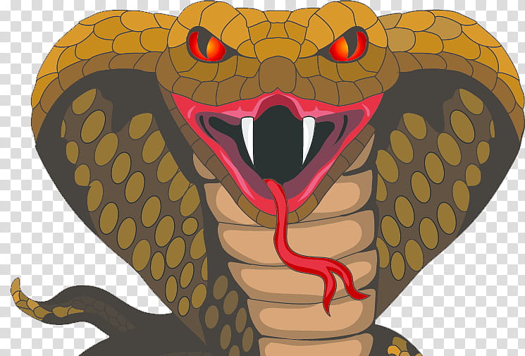 Snake, Cobra, King Cobra, Snakes, Tshirt, Music, Flashlight, Cartoon transparent background PNG clipart
