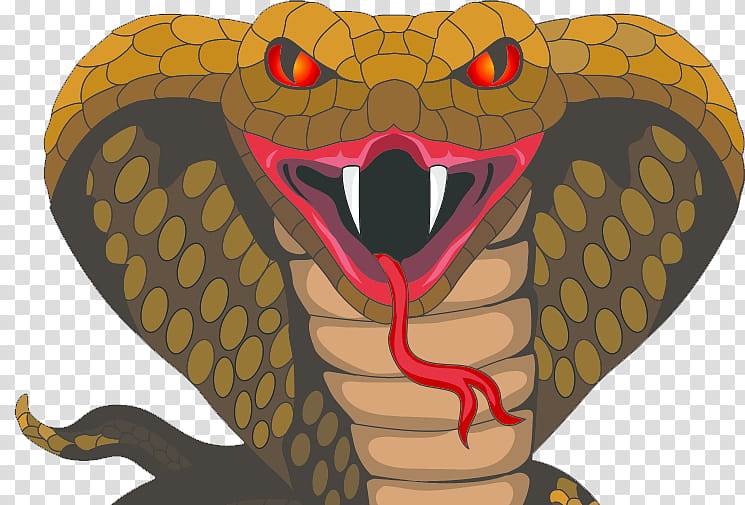 King Cobra Head Clipart