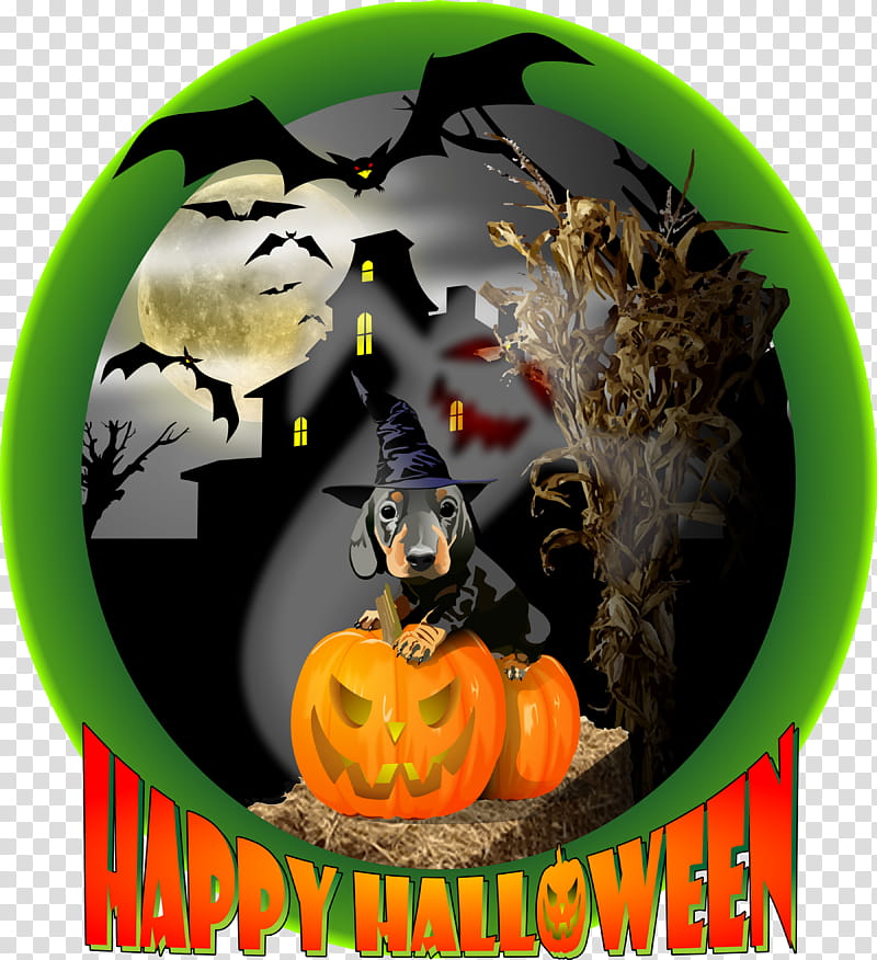 Ghost, Jackolantern, Trickortreat, Pumpkin, Calabaza, Cauldron transparent background PNG clipart