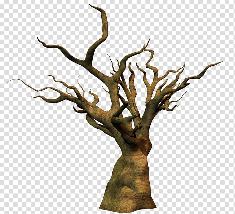 leafless tree png clipart