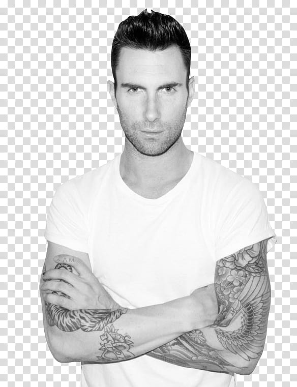 ADAM LEVINE transparent background PNG clipart