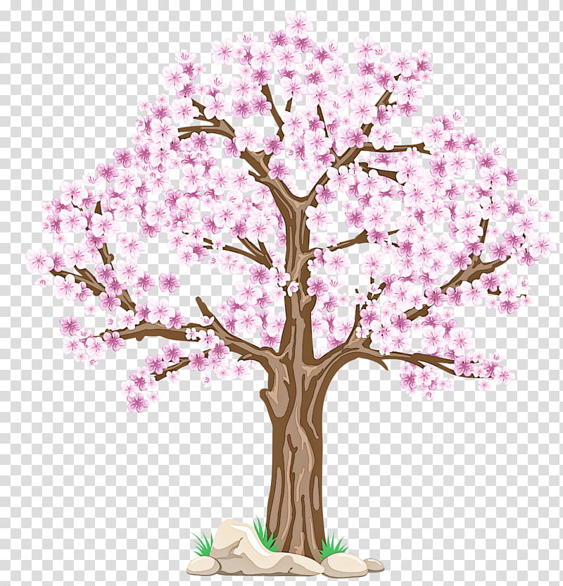 Cherry blossom, Tree, Plant, Branch, Woody Plant, Pink, Flower, Spring transparent background PNG clipart
