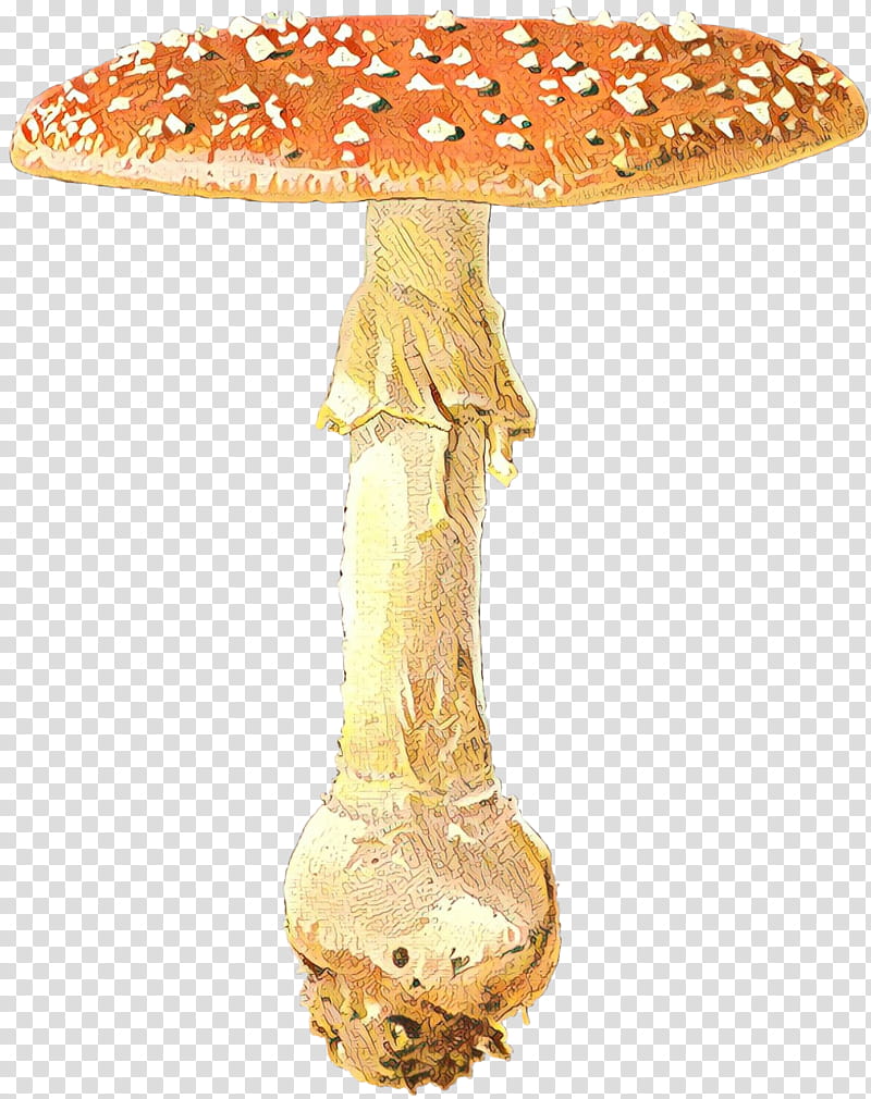 Mushroom, Edible Mushroom, Medicinal Fungi, Medicine, Medicinal Mushroom, Agaric, Agaricomycetes, Penny Bun transparent background PNG clipart