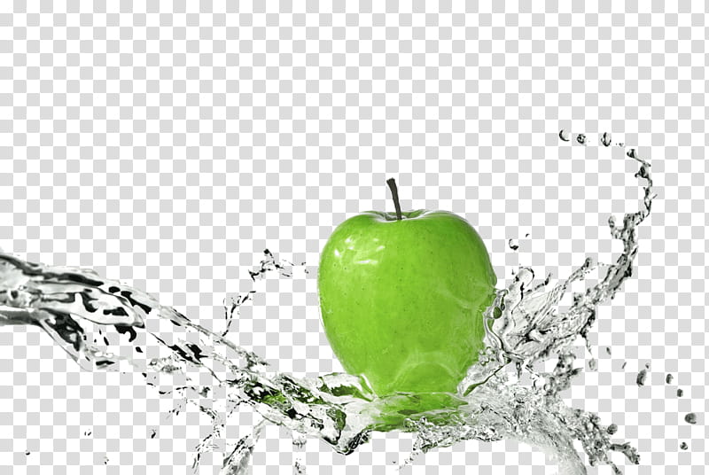 Apple Tree, Water, Fresh Water, Washing, Printing, Industry, Poster, Fruit transparent background PNG clipart