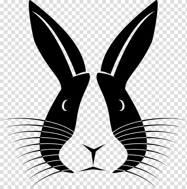 Rabbit, Hare, Lionhead Rabbit, Silhouette, Drawing, European Rabbit, Whiskers, Rabbits And Hares transparent background PNG clipart