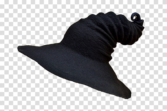 Witch Hat , new black witch hat transparent background PNG clipart