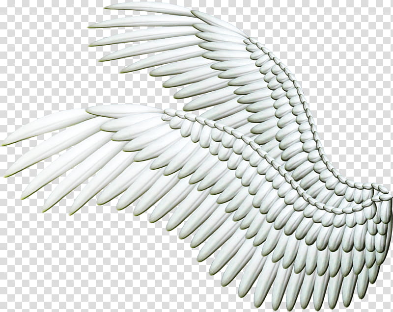 Double Spread Wings White, white wings illustration transparent background PNG clipart
