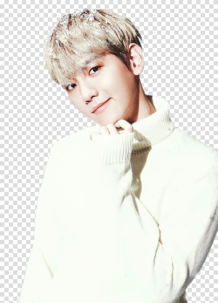 EXO BBH transparent background PNG clipart