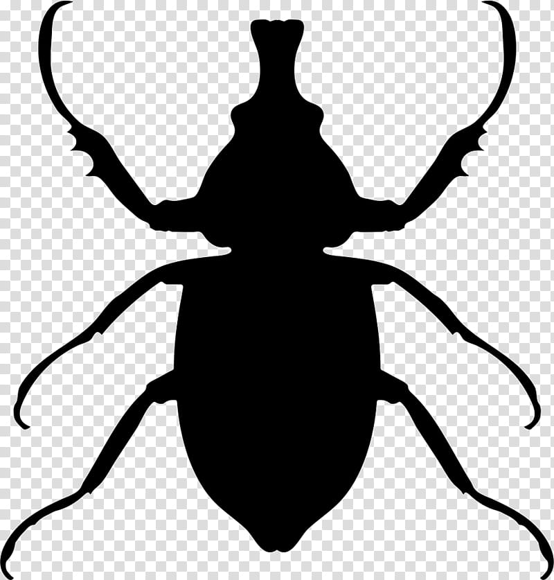 Potato, Beetle, Rhinoceros Beetles, European Rhinoceros Beetle, Japanese Rhinoceros Beetle, Stag Beetle, Dung Beetle, Colorado Potato Beetle transparent background PNG clipart