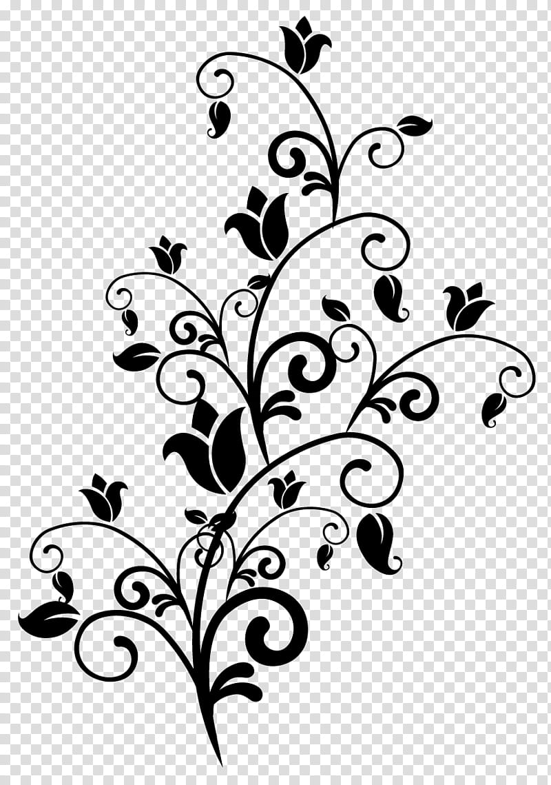 Floral Ornament, Twig, Leaf, Plant Stem, Line, Floral Design, Plants, Pedicel transparent background PNG clipart