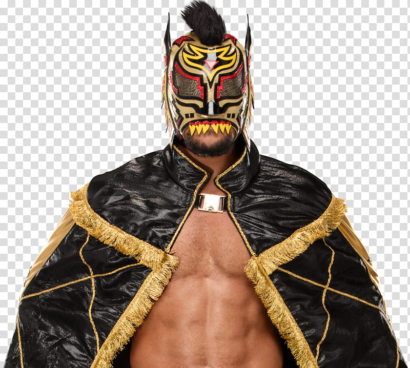 Lince Dorado new  transparent background PNG clipart