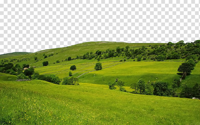 Green Nature FILE use freely, green hill transparent background PNG clipart