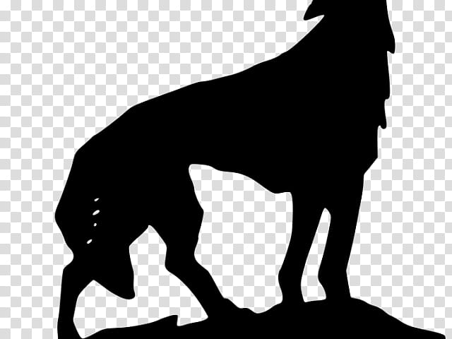 Wolf Drawing, Coyote, Aullido, Silhouette, Dog, White, Guard Dog, Great Dane transparent background PNG clipart