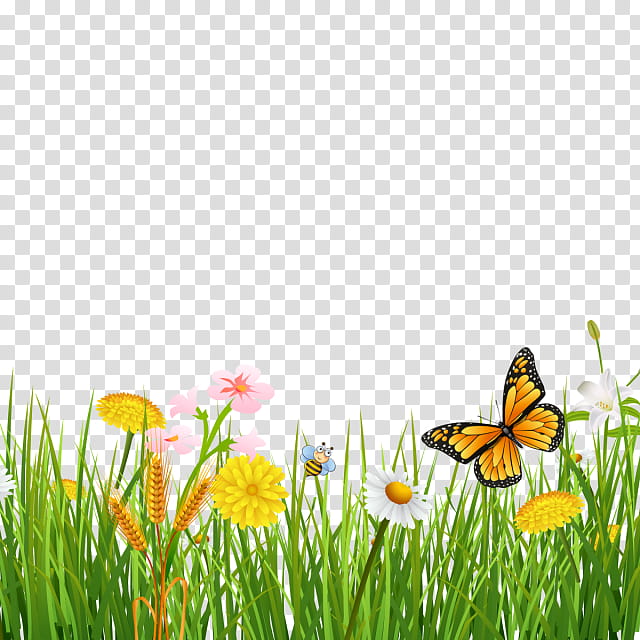 Cartoon Nature, Drawing, Natural Landscape, Butterfly, Grass, Meadow, Natural Environment, Insect transparent background PNG clipart