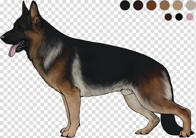 Police, Old German Shepherd Dog, King Shepherd, Easteuropean Shepherd, Kunming Wolfdog, Puppy, Breed, Veterinarian transparent background PNG clipart