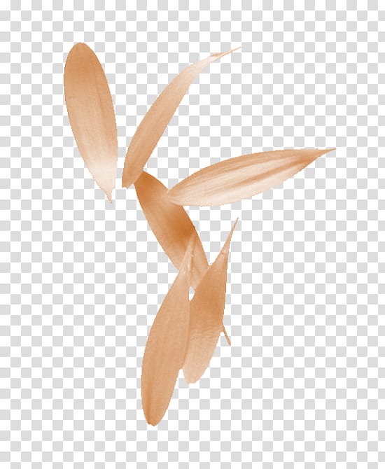 Painting, Object, Data, Blog, Class, Propeller, Wing, Petal transparent background PNG clipart