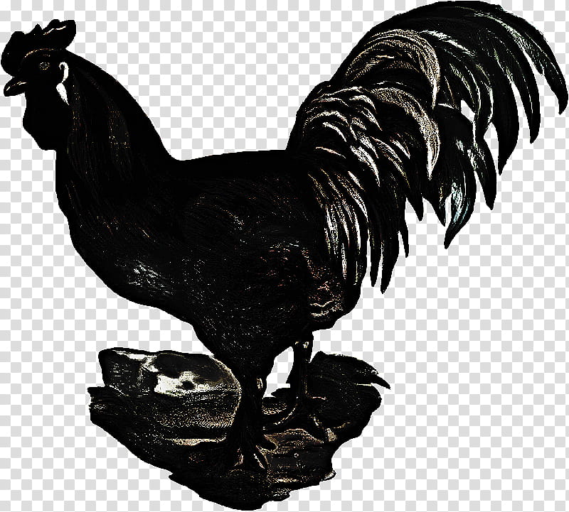 Bird, Rooster, Chicken, Animation, Android, Sticker, Drawing, Black transparent background PNG clipart