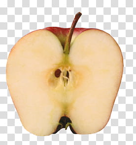 sliced apple transparent background PNG clipart