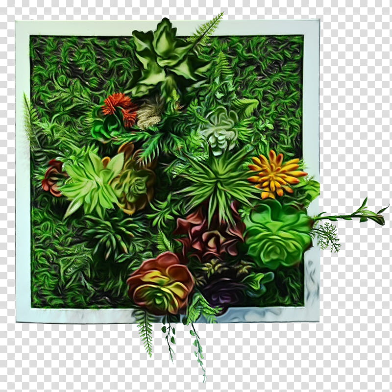 Modern Background Frame, Tree, Shrub, Flower, Plant, Leaf, Frame, Wildflower transparent background PNG clipart
