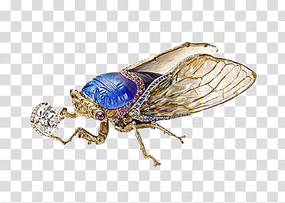 Insect Jewelry s, clear gemstone encrusted blue cicada brooch transparent background PNG clipart