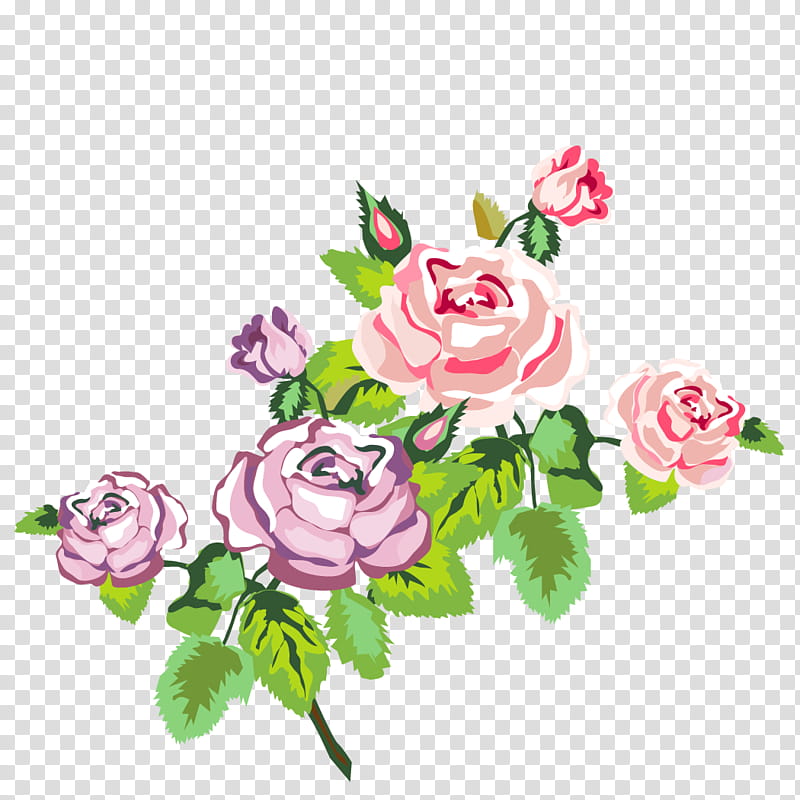 Bouquet Of Flowers Drawing, Rose, Shabby Chic, Pink, Garden Roses, Cut Flowers, Plant, Rose Family transparent background PNG clipart