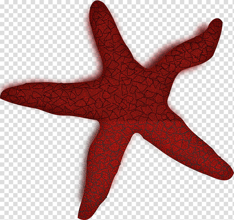 starfish red star transparent background PNG clipart