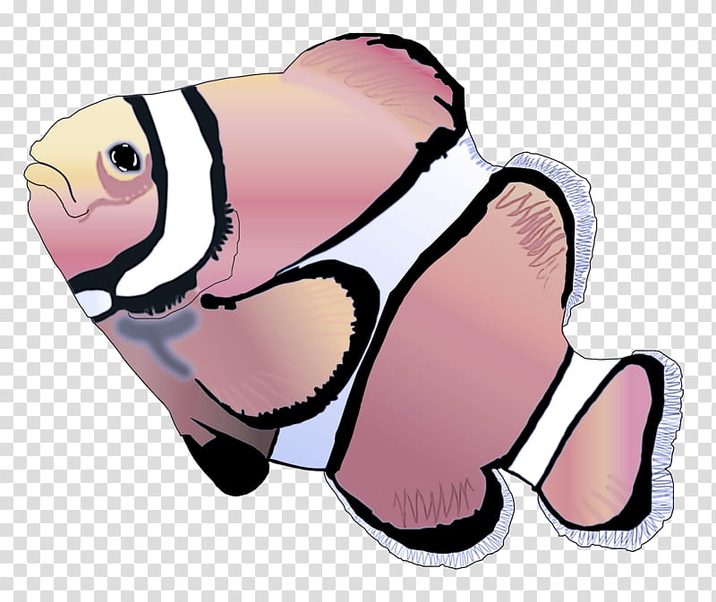 cartoon pink fish anemone fish, Cartoon, Clownfish, Pomacentridae transparent background PNG clipart