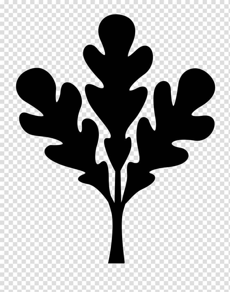 Oak Tree Silhouette, Leaf, Plant Stem, Plants, Woody Plant, Blackandwhite, Logo, Plane transparent background PNG clipart