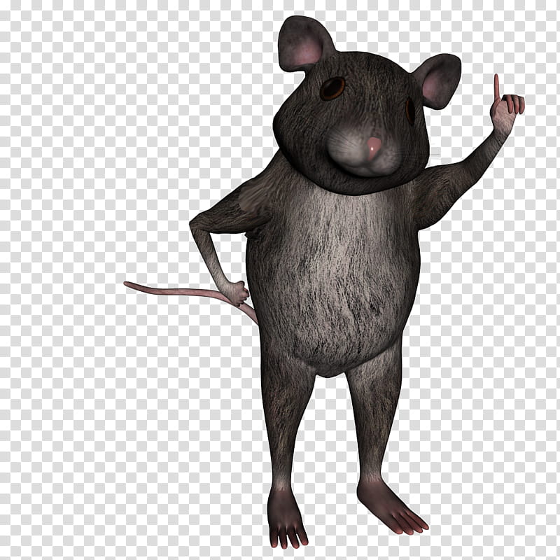 House Mouse v, gray mouse transparent background PNG clipart