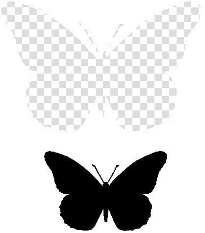 Base mariposa para tutorial, butterfly silhouette transparent background PNG clipart