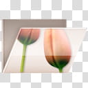 Glossy Garden Folders, red tulips transparent background PNG clipart
