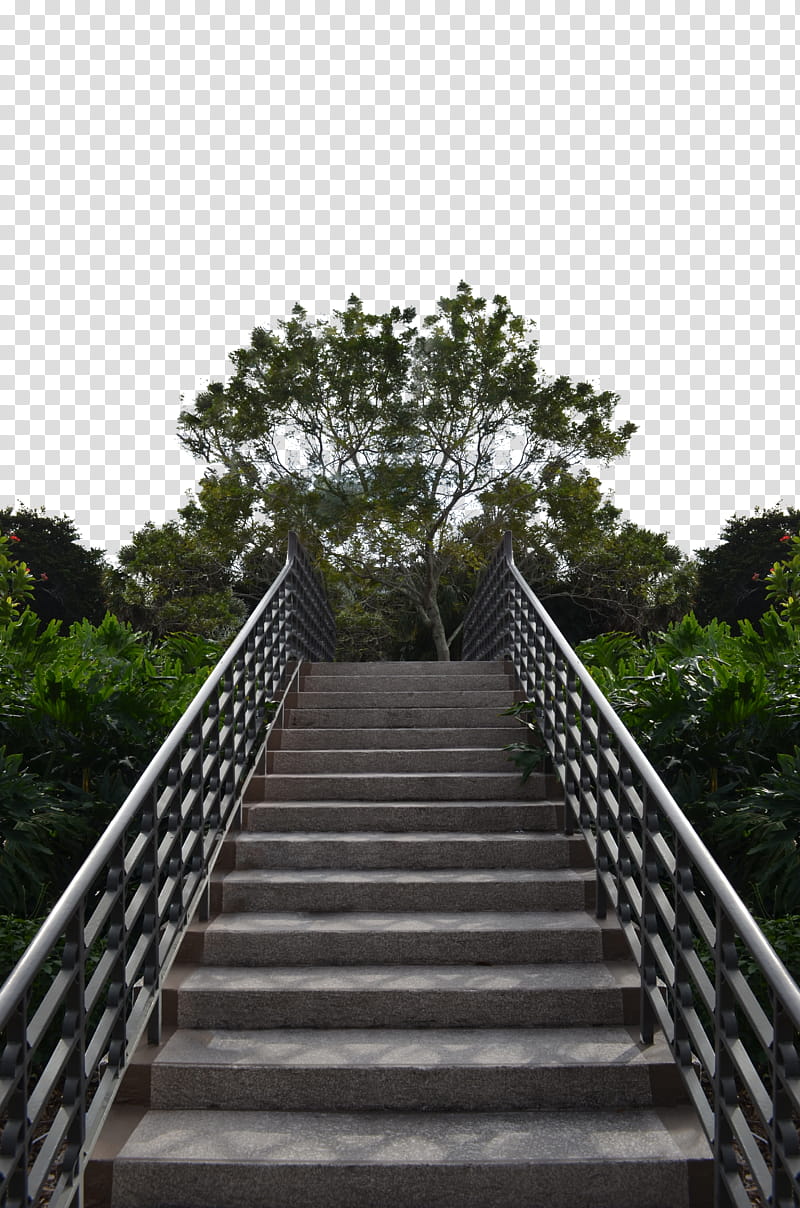 Staircase in Forest Background , of concrete pathway transparent background PNG clipart