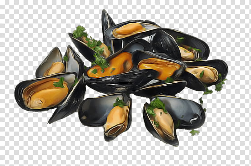 mussel food bivalve seafood shellfish, Cuisine, Dish transparent background PNG clipart