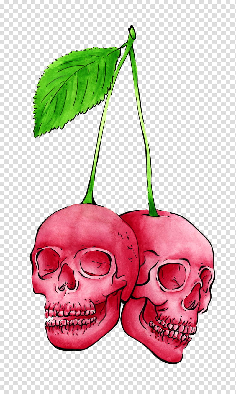 Pink Flower, Skull, Cherries, Painting, Sticker, Bone, Head, Plant transparent background PNG clipart