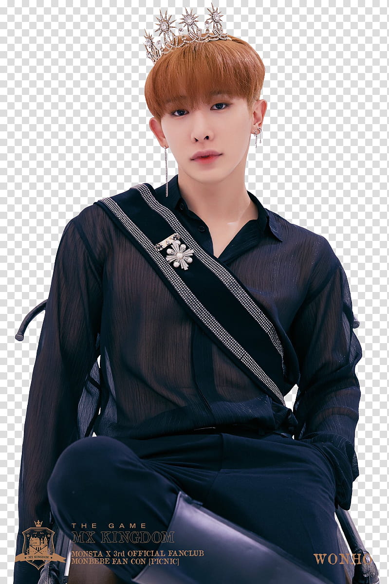 Monsta X Kihyun In A Bag - Roblox Anime Roblox T Shirt Png,Monsta X Logo  Png - free transparent png images 