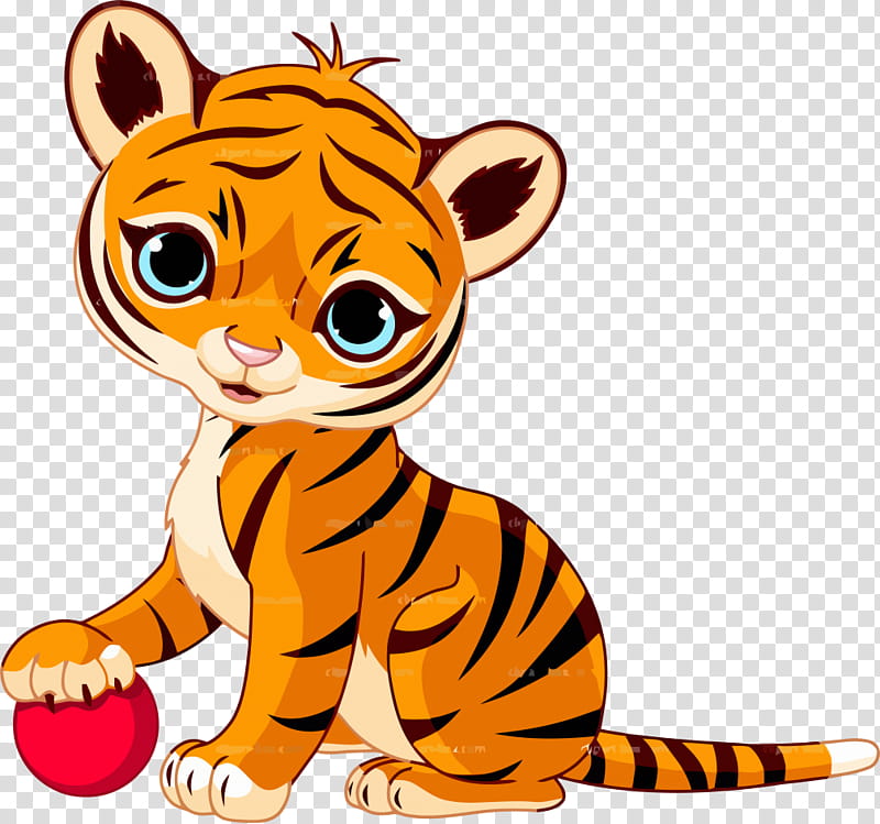 Cats, Tiger, Cuteness, Infant, Animal, Wildlife, Whiskers, Tail transparent background PNG clipart