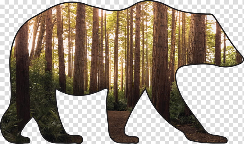 Your Place And Mine Animal Figure, Washington, Management, Natural Environment, Carbon Neutrality, Industry, Accounting, Job transparent background PNG clipart