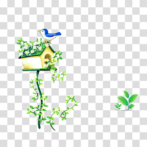 Child, Textile,  Cartoon, Plant transparent background PNG clipart thumbnail
