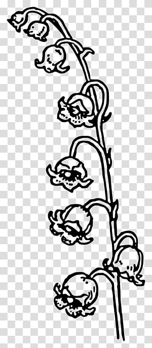 Black And White Flower, Black  White  M, Visual Arts, Shoe, Plant Stem, Plants, Line, Line Art transparent background PNG clipart thumbnail
