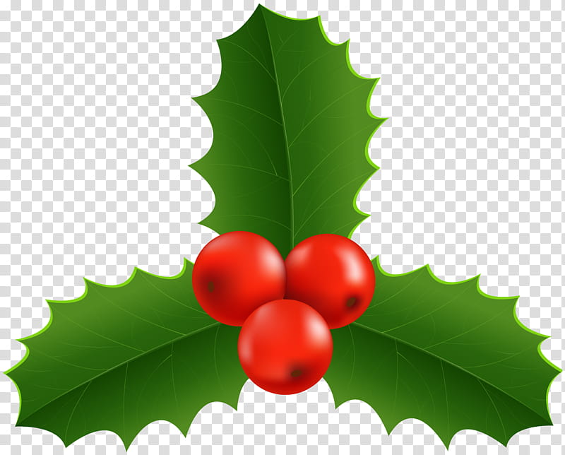 Christmas Tree, Christmas Day, Common Holly, Mistletoe, Leaf, Green, Plant, American Holly transparent background PNG clipart