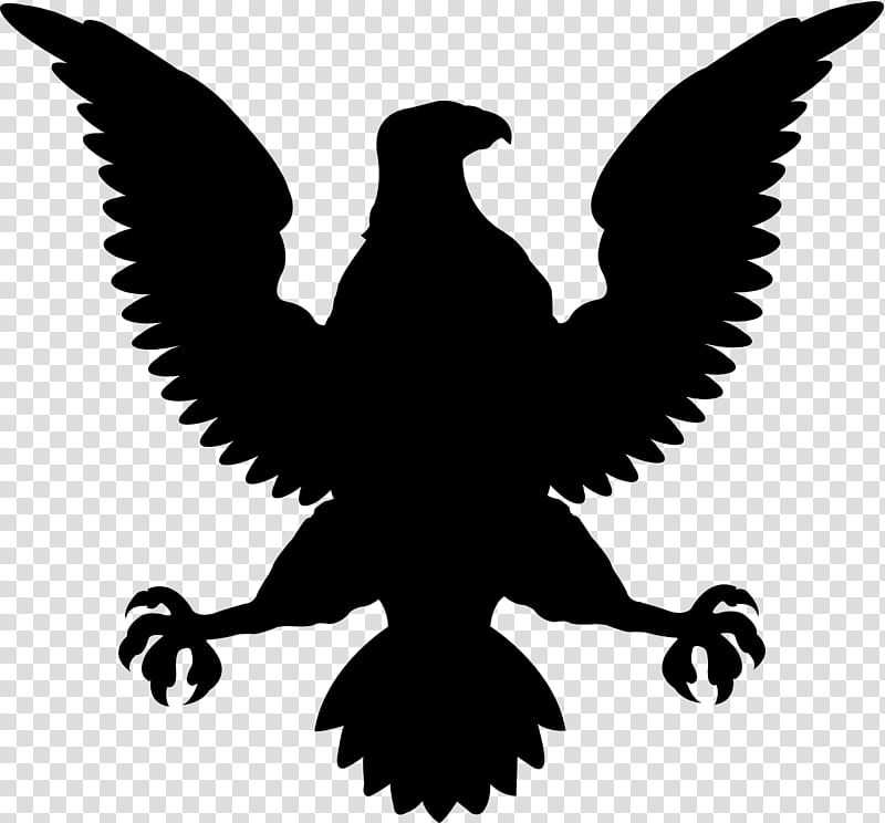 Eagle Logo, Bald Eagle, Silhouette, Bird, Wing, Bird Of Prey, Beak, Stencil transparent background PNG clipart