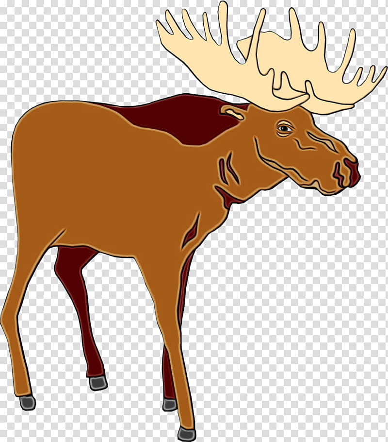 Reindeer, Watercolor, Paint, Wet Ink, Moose, Wildlife, Elk, Fawn transparent background PNG clipart