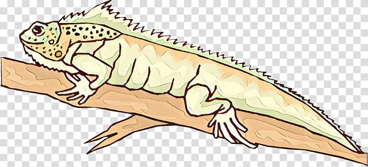 reptile animal figure jaw saltwater crocodile wildlife transparent background PNG clipart