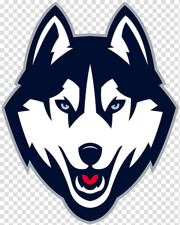 American Football, University Of Connecticut, Connecticut Huskies Football, Connecticut Huskies Mens Basketball, Connecticut Huskies Baseball, Ncaa Division I Football Bowl Subdivision, Husky, Ncaa Mens Division I Basketball Tournament transparent background PNG clipart