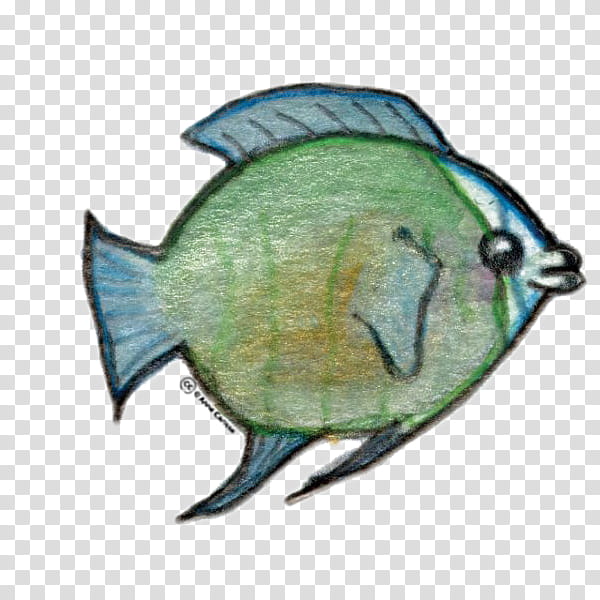 Fish, Enduser License Agreement, Sea, Gratis, Parrotfish, Butterflyfish, Pomacanthidae, Bluegill transparent background PNG clipart