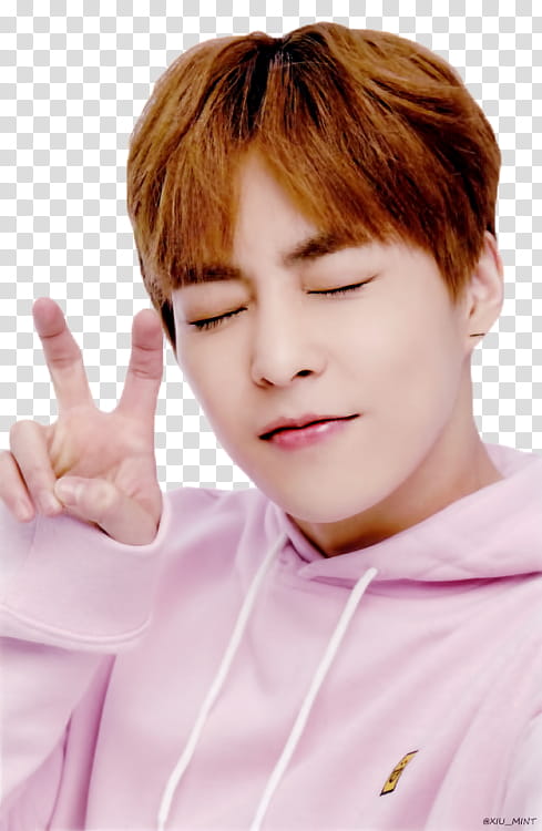 EXO, man doing peace sign transparent background PNG clipart