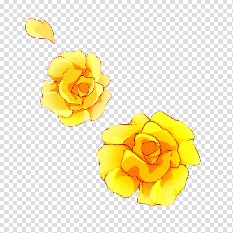 , two yellow flowers transparent background PNG clipart